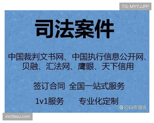 判罚标准如何界定？裁判依据哪些关键因素作出决定