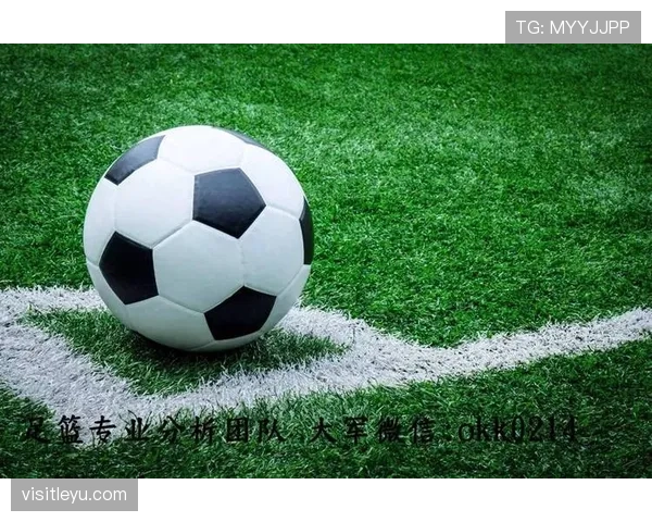 场上遇到外物入侵，足球规则这样判罚才公平公正？